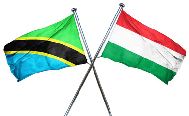 Tanzanian flag with Hungary flag, 3D rendering
