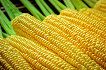 corn background