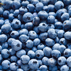 blueberry background