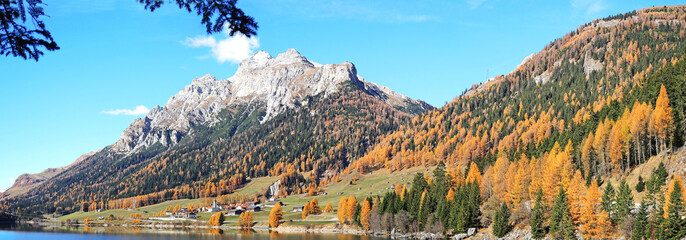 Splugen- Sufers - Switzerland - Autumn trees      
