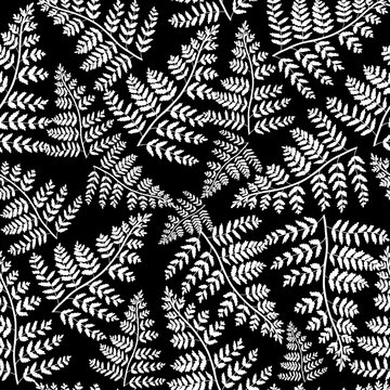 Fern on a black background.Vector seamless pattern