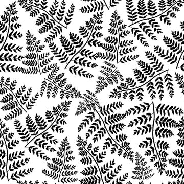 Fern on a white background.Vector seamless pattern