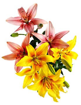 Fototapeta Flowers pattern