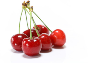 Japanese perfect ripe cherry in white
