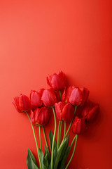 tulip flowers background