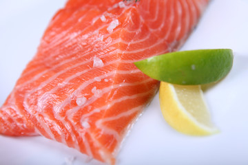Fresh salmon
