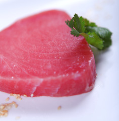 Fresh tuna