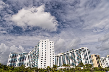 Buildings and palms on cloudy sky