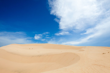 Barkhan in a desert