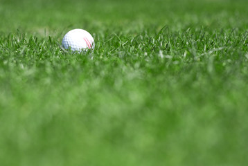 green grass and golfball