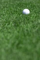 golf field and golfball