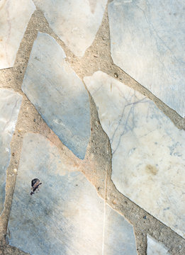 Polished old grey concrete floor texture background