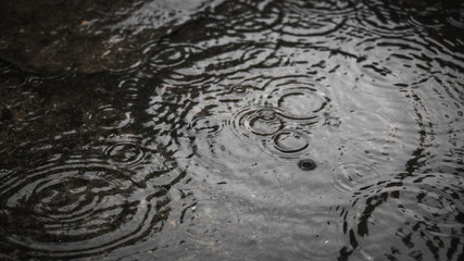 Rain drops on asphalt or tarmac road creating ripples