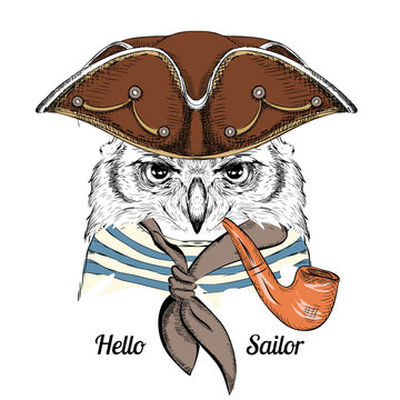 Image Portrait owl in a pirate hat and with tobacco pipe. Vector illustration.