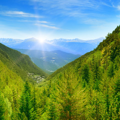 Fototapeta premium Świt w malowniczych górach porośniętych lasami