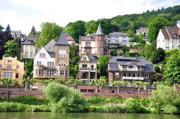 Fototapeta na wymiar Häuser am Neckar