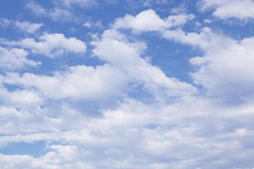 Fototapeta premium fresh cloudy blue sky background
