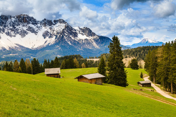 Fototapeta na wymiar Beautiful green meadow with the Alps in the background.