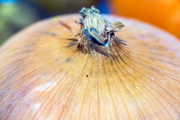 Close up of onion