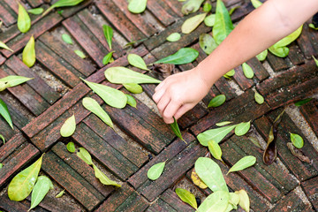 Leaf in small hand