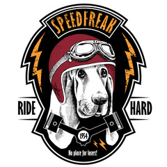 The emblem with the portrait of a Basset Hound dog wearing a motorcycle helmet. Vector illustration.