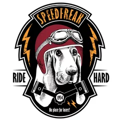 Fotobehang The emblem with the portrait of a Basset Hound dog wearing a motorcycle helmet. Vector illustration. © Afishka