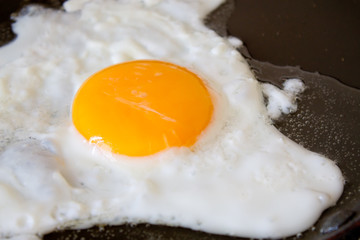 fried egg in a frying pan
