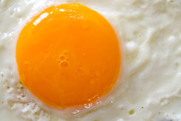 fried egg on a plate