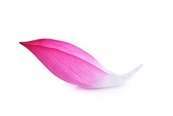 Closeup on lotus petal on white background - 112519911