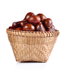 chestnuts isolated on white background