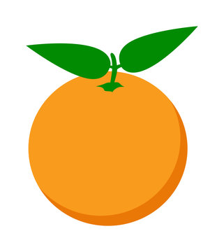 Orange isolated vector illustration.