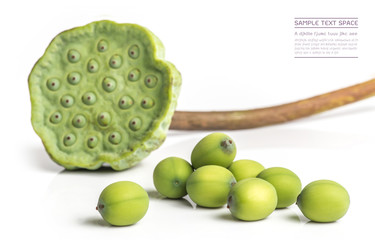 lotus seeds, lotus seeds close up, lotus seeds on white background