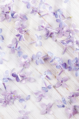 petals of lilac on white wooden table