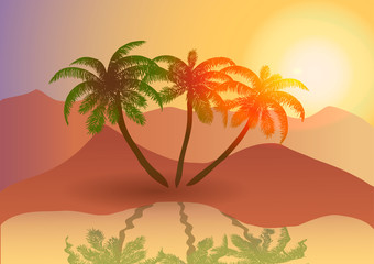Obraz na płótnie Canvas Vector illustration. Oasis in the desert at sunset.