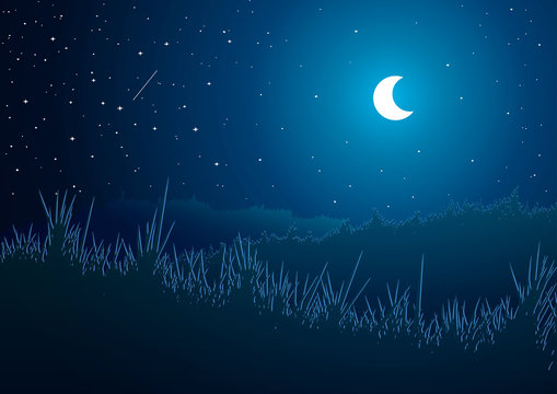 Vector illustration. Summer. Meadows at night.