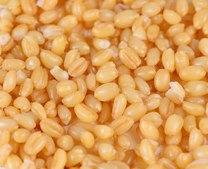 pile of pearl barley isolated on a background.