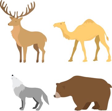 Forest animal set: deer, camel, bear, wolf