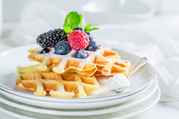 Fresh waffels with berry fruits for breakfast