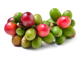 Coffee beans isolated on white background.