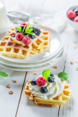 Fresh berries with waffels for breakfast