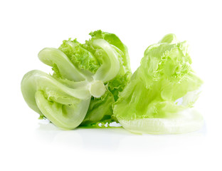 fresh  lettuce leaves isolated on white