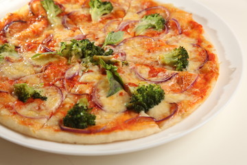 Italian pizza slices on plate