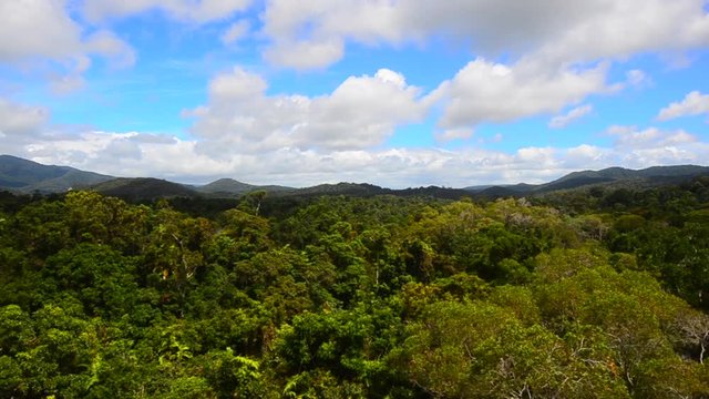 Aerial view of Barron Gorge National Park Rainforest Queensland Australia