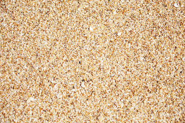 Sand texture. Nature background