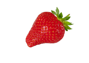 Single red strawberry