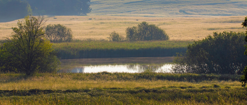 Landschaft in einem Naturschutzgebiet in Brandenburg bei Biesenthal