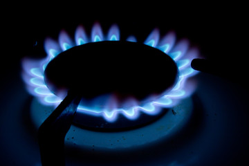 Blue Gas Stove Flames of multiple hobs, dark background