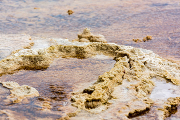 Mammoth Hot Springs