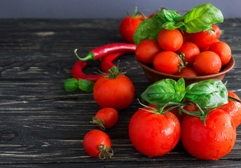 Tomatoes on vine, red chilli and green basil