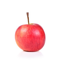 A ripe apple on white background